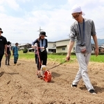 大納言小豆の種まきを体験する東京大学の学生たち＝丹波市春日町野上野
