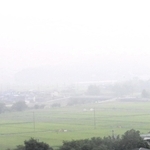 住吉台から見下ろした丹波篠山の田園地帯＝丹波篠山市内