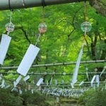 風に吹かれ涼やかな音を境内に響かせる風鈴＝高源寺