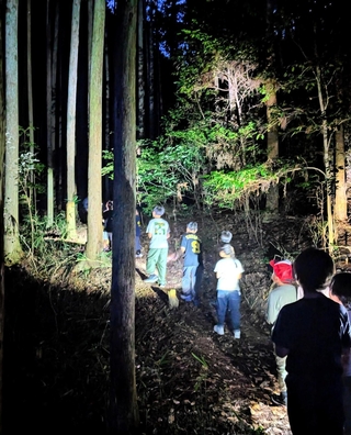 懐中電灯を手に、森の入り口を歩く子どもら＝篠山チルドレンズミュージアム