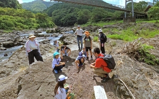足元にある石のかけらなどを見ながら、篠山層群の成り立ちや化石について学ぶ児童ら＝丹波市山南町、篠山川