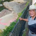 丹波竜と出合った２０年前の記憶を振り返る村上茂さん＝丹波市山南町上滝