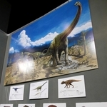 篠山層群で化石が見つかった恐竜などの復元画が並ぶコーナー＝県立人と自然の博物館