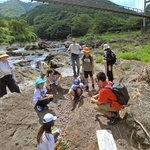 足元にある石のかけらなどを見ながら、篠山層群の成り立ちや化石について学ぶ児童ら＝丹波市山南町、篠山川