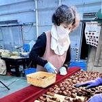 傷の有無などの確認を受けながら集荷される丹波栗＝丹波篠山市宇土