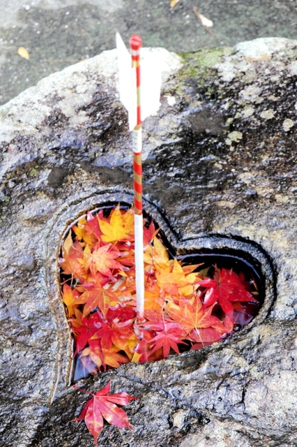 紅葉を浮かべ、破魔矢を立てたちょうず鉢。“恋の社”にふさわしい装いを多彩に試した＝加茂神社