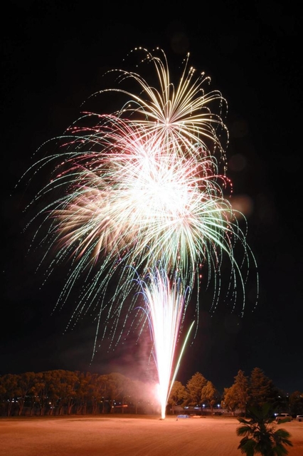 神戸新聞next 東播 花火とツリー 冬空に競演 イベント初日にサプライズ演出