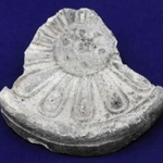 ハスの花があしらわれ、登リ田遺跡で見つかった瓦＝県立考古博物館