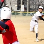 懸命にプレーする選手ら＝向島多目的球場