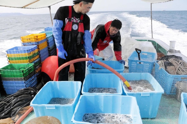 甲板で氷と海水によるシンコの洗浄作業が進められた＝明石沖