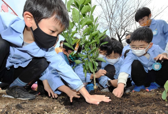 新たに植えたミカンの木の根元に土をかぶせる園児＝加古川市立加古川幼稚園