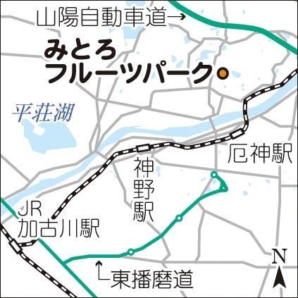 神戸新聞ＮＥＸＴ