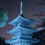 青色にライトアップされた三重塔＝鶴林寺