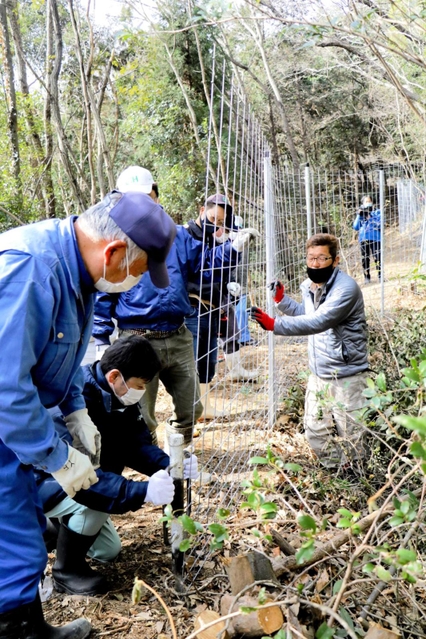 イノシシ対策の侵入防護柵を設置する住民ら＝今年２月、加古川市志方町畑