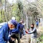 イノシシ対策の侵入防護柵を設置する住民ら＝今年２月、加古川市志方町畑
