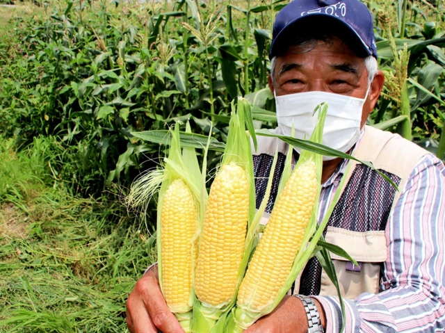 トウモロコシを手に、収穫体験への参加を呼び掛ける佐伯真究代表理事＝加古川市西神吉町宮前