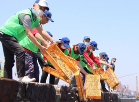 稚魚を放流する日本釣振興会兵庫県支部とチーム・アイランズのメンバー＝東播磨港新島公共埠頭