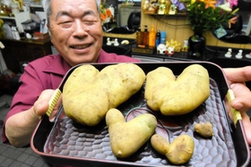 ハート形のジャガイモ５個を収穫した安達孝司さん＝加古川市尾上町池田（撮影・門田晋一）