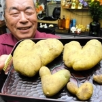 ハート形のジャガイモ５個を収穫した安達孝司さん＝加古川市尾上町池田（撮影・門田晋一）