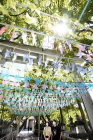 頭上で回る色とりどりの風車＝鹿嶋神社