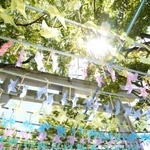 頭上で回る色とりどりの風車＝鹿嶋神社