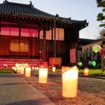 ピンク色にライトアップされた本堂＝延命寺