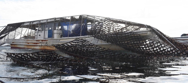 網をくぐってノリを収穫する潜り船＝加古川市沖