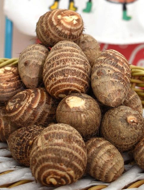 加古川市東神吉町升田地区と周辺で採れる里芋