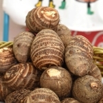 加古川市東神吉町升田地区と周辺で採れる里芋