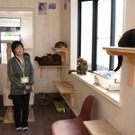 猫を見守る国広淳さん（左）と中藤啓子さん＝加古川市野口町坂井