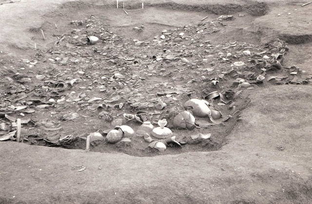 出土した大量の土器（１９６３年、播磨町提供）