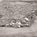 出土した大量の土器（１９６３年、播磨町提供）