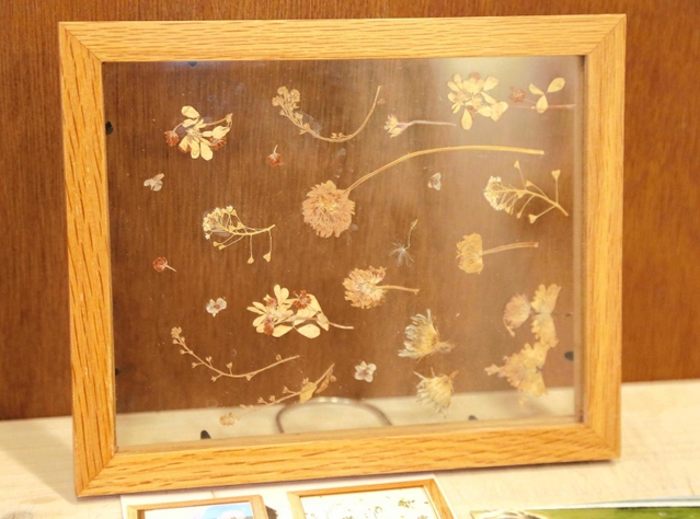 子どもが散歩中に拾った花で作った押し花の作品＝高砂市米田町古新、カフェはま茶