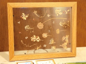 子どもが散歩中に拾った花で作った押し花の作品＝高砂市米田町古新、カフェはま茶