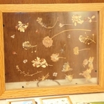 子どもが散歩中に拾った花で作った押し花の作品＝高砂市米田町古新、カフェはま茶