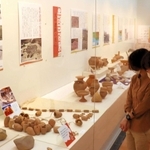 弥生時代の集落遺跡からの出土品が並ぶ展示会場＝県立考古博物館