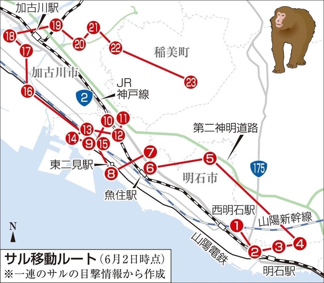 神戸新聞ＮＥＸＴ