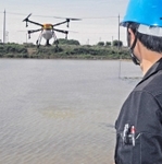 ドローンを水田上に飛ばす共同防除隊のメンバー＝加古川市八幡町上西条