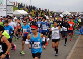 ２０１９年に催された加古川マラソン大会＝加古川河川敷