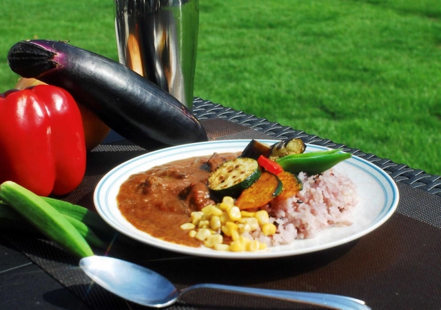 兵庫大の学生が考案した加古川和牛など地元食材を使ったカレー（提供写真）
