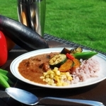 兵庫大の学生が考案した加古川和牛など地元食材を使ったカレー（提供写真）