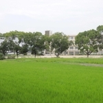 コウノトリの巣塔が設置されることになった神野小学校＝加古川市神野町石守