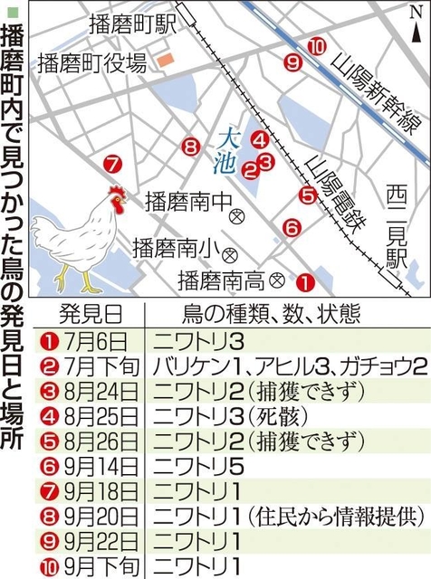 神戸新聞ＮＥＸＴ
