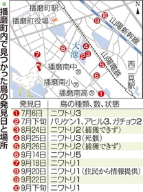 神戸新聞ＮＥＸＴ