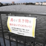 池を囲む柵に取り付けられた注意書き＝大池