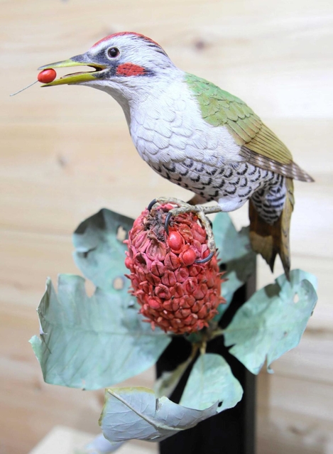 水を飲むスズメ、魚捕らえるカワセミ…今にも動き出しそうな木彫の野鳥