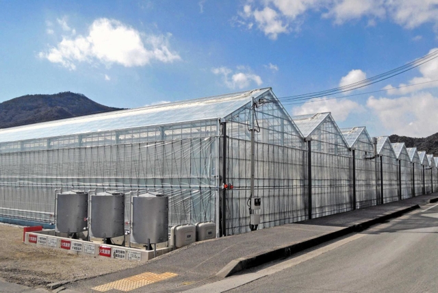 「ゼブラグリーンズ」の環境制御型ハウス＝加古川市志方町原