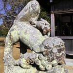 愛らしい親子連れのこま犬＝加古川市神野町、若一神社
