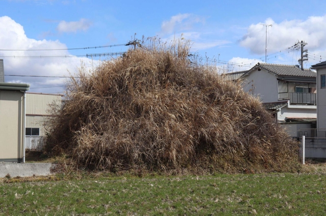 住宅街にあるもっさりとした古墳＝加古川市野口町良野、具平塚古墳