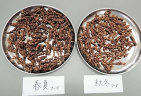 県農オリジナルドッグフード。配合する廃棄野菜は季節によって異なる＝県立農業高校